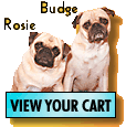View Your Cart